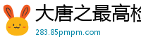 大唐之最高检查官十言